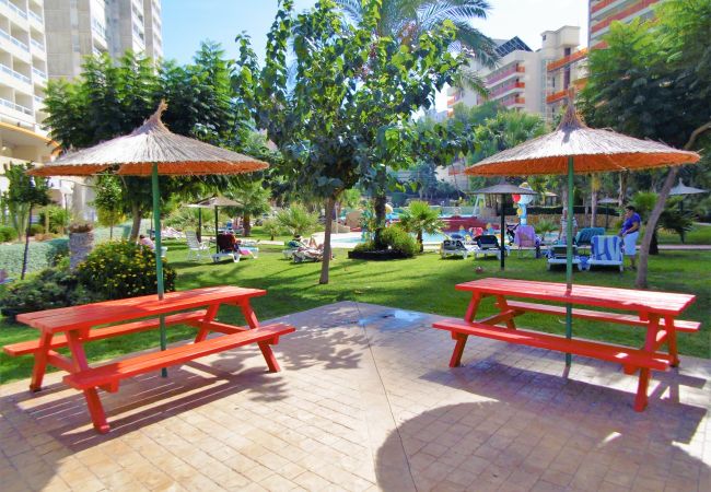 Apartment in Benidorm - Gemelos 22 Resort Apartment 3-18-B Levante Beach Apartment in Benidorm - Gemelos 22 Resort Apartment 3-18-B Levante Beach