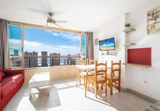 Apartment in Benidorm -  Acuarium 3-19-E Apartment Levante Beach Apartment in Benidorm -  Acuarium 3-19-E Apartment Levante Beach