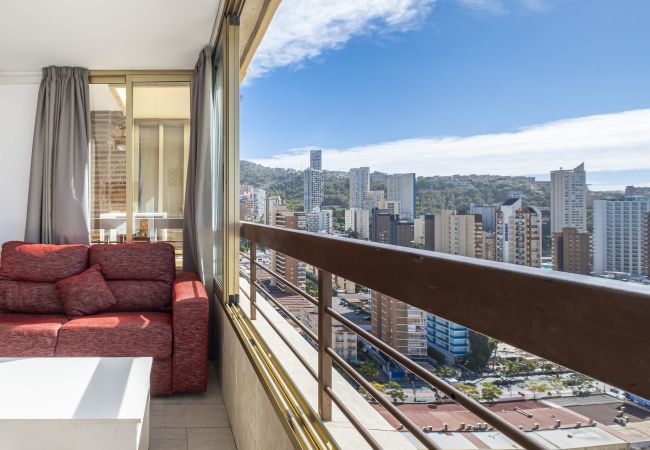 Apartment in Benidorm -  Acuarium 3-19-E Apartment Levante Beach Apartment in Benidorm -  Acuarium 3-19-E Apartment Levante Beach
