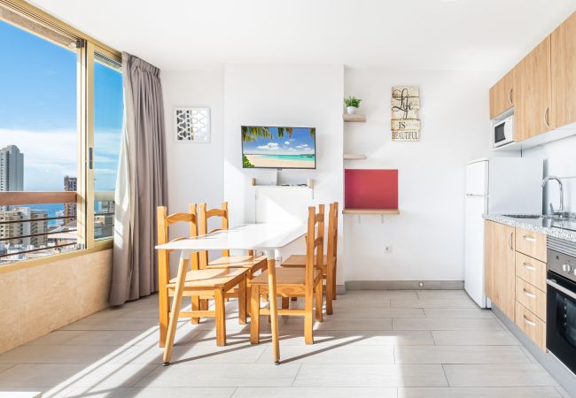 Apartment in Benidorm -  Acuarium 3-19-E Apartment Levante Beach Apartment in Benidorm -  Acuarium 3-19-E Apartment Levante Beach