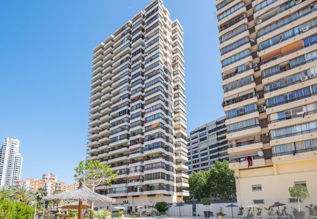 Apartment in Benidorm -  Acuarium 3-19-E Apartment Levante Beach Apartment in Benidorm -  Acuarium 3-19-E Apartment Levante Beach