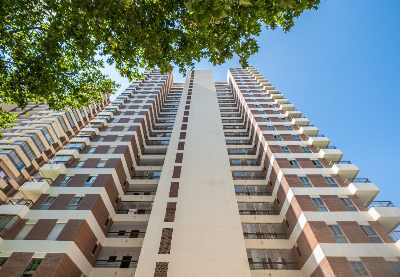 Apartment in Benidorm -  Acuarium 3-19-E Apartment Levante Beach Apartment in Benidorm -  Acuarium 3-19-E Apartment Levante Beach