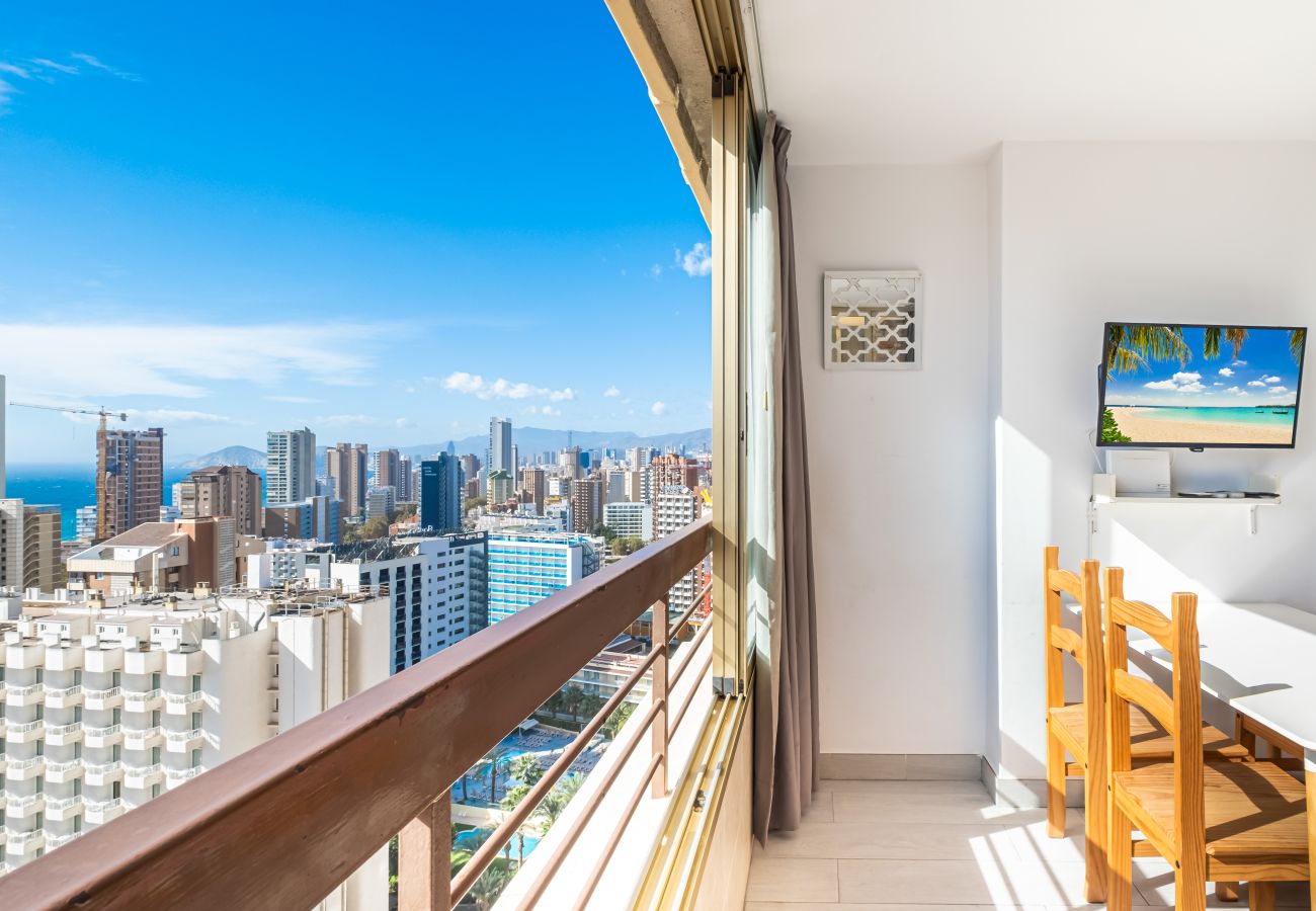 Apartment in Benidorm -  Acuarium 3-19-E Apartment Levante Beach Apartment in Benidorm -  Acuarium 3-19-E Apartment Levante Beach