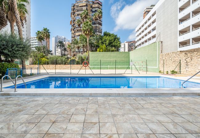 Apartment in Benidorm - Donna II 7-32 Apartment Levante Beach-Old Town Apartment in Benidorm - Donna II 7-32 Apartment Levante Beach-Old Town