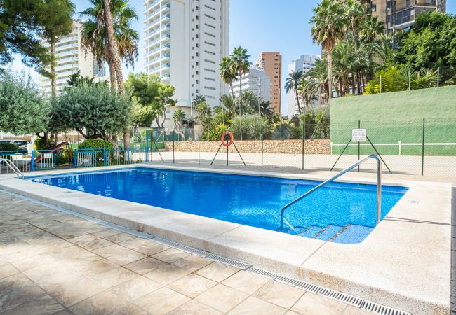 Apartment in Benidorm - Donna II 7-32 Apartment Levante Beach-Old Town Apartment in Benidorm - Donna II 7-32 Apartment Levante Beach-Old Town