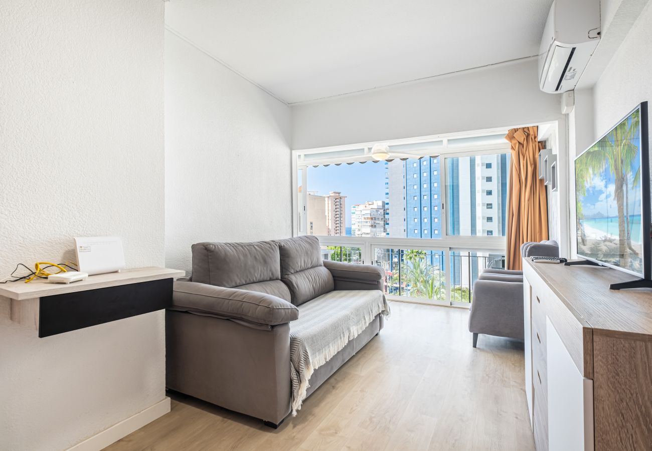 Apartment in Benidorm - Donna II 7-32 Apartment Levante Beach-Old Town Apartment in Benidorm - Donna II 7-32 Apartment Levante Beach-Old Town