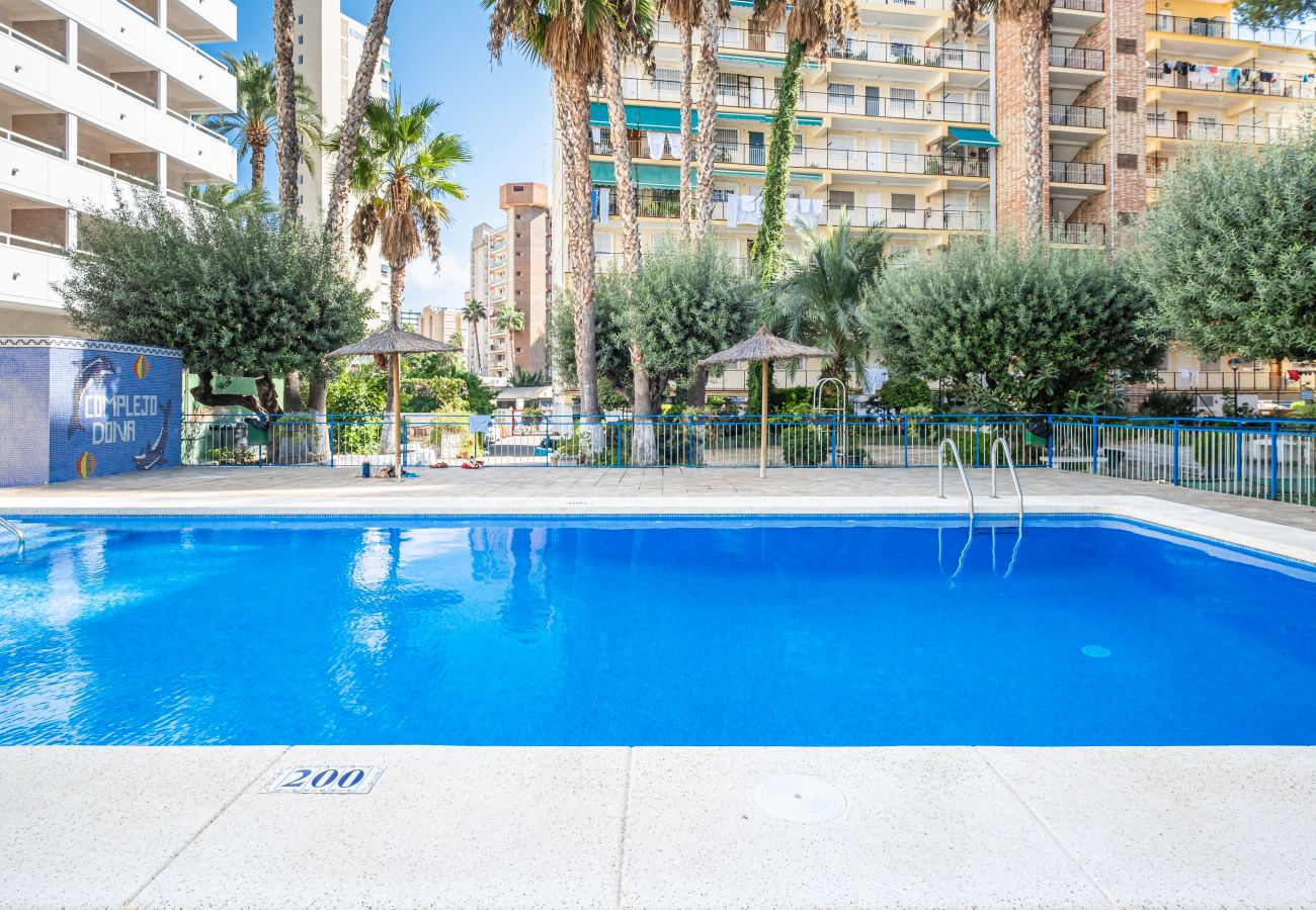 Apartment in Benidorm - Donna II 7-32 Apartment Levante Beach-Old Town Apartment in Benidorm - Donna II 7-32 Apartment Levante Beach-Old Town