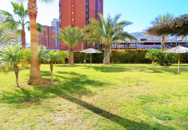 Apartment in Benidorm -  Gemelos 26 Resort Apartment 22E Levante Beach Apartment in Benidorm -  Gemelos 26 Resort Apartment 22E Levante Beach