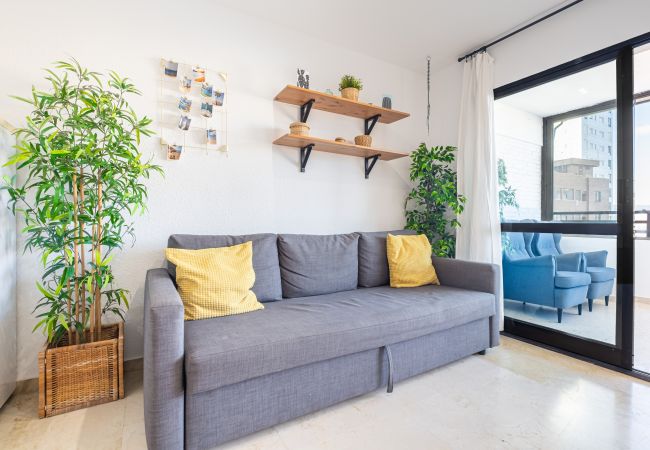 Apartment in Benidorm -  Trinisol Apartment Sea Views 6E Levante Beach Apartment in Benidorm -  Trinisol Apartment Sea Views 6E Levante Beach