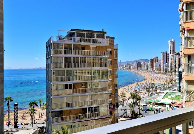 Apartment in Benidorm - Carabelas 6-2 Apartment Levante Beach Apartment in Benidorm - Carabelas 6-2 Apartment Levante Beach