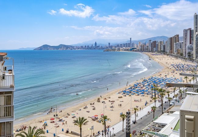 Apartment in Benidorm - Carabelas 10-6 Apartment in Benidorm - Carabelas 10-6