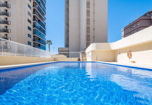 Apartment in Benidorm - Torre Levante 22C Apartment in Benidorm - Torre Levante 22C