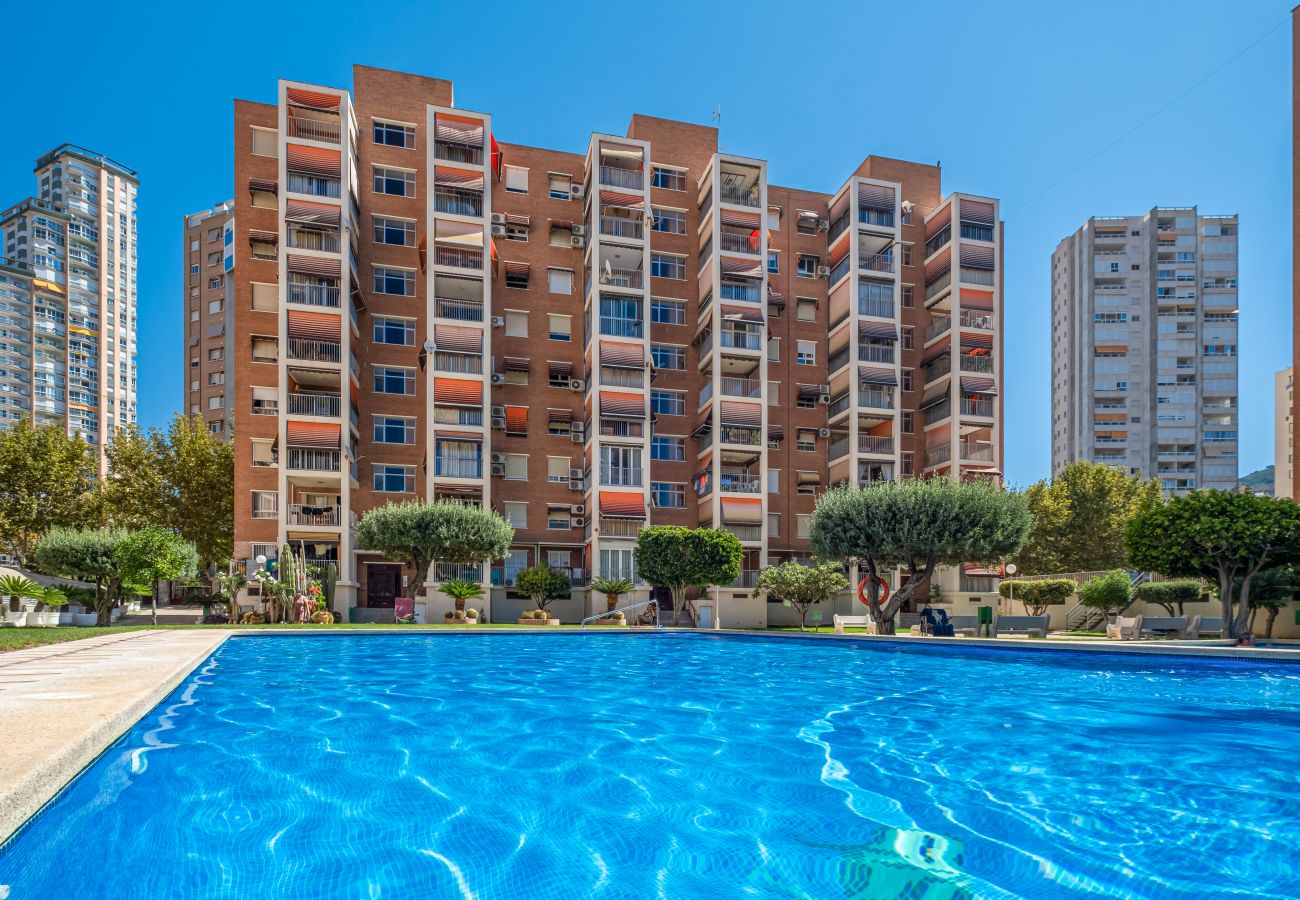 Apartment in Benidorm - Etxezuri I 6-D Apartment Levante Beach Apartment in Benidorm - Etxezuri I 6-D Apartment Levante Beach