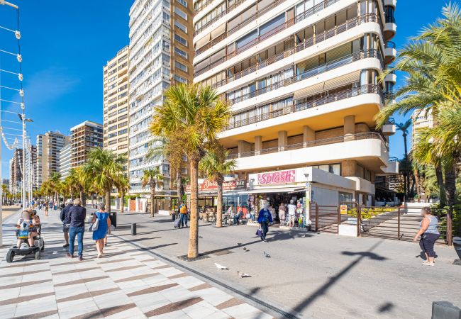 Apartment in Benidorm - Las Arenas 1-C Apartment Levante Beach Apartment in Benidorm - Las Arenas 1-C Apartment Levante Beach