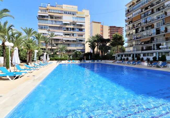 Apartment in Benidorm - Bermudas 313 Apartment in Benidorm - Bermudas 313