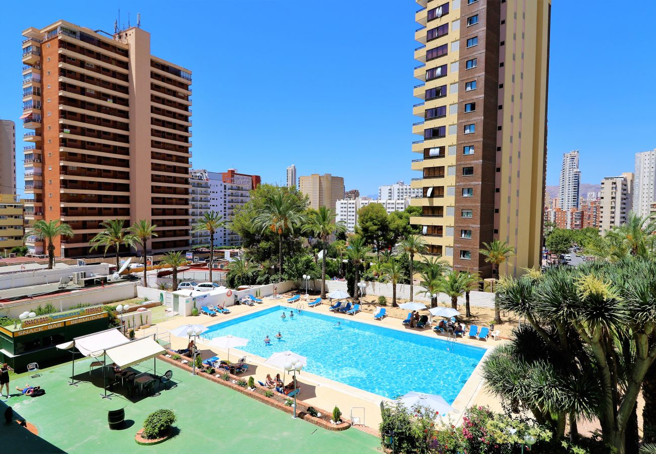 Apartment in Benidorm - Bermudas 313 Apartment in Benidorm - Bermudas 313