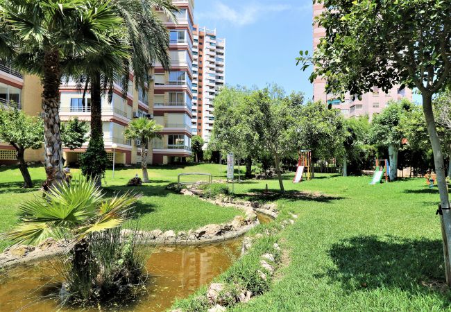 Apartment in Benidorm -  Lidersol 11-D Apartment Levante Area Apartment in Benidorm -  Lidersol 11-D Apartment Levante Area