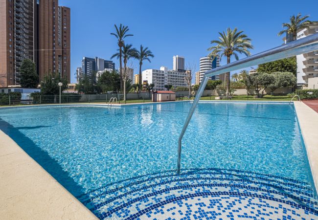 Apartment in Benidorm -  Lidersol 11-D Apartment Levante Area Apartment in Benidorm -  Lidersol 11-D Apartment Levante Area