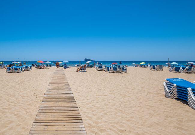 Apartment in Benidorm -  Lidersol 11-D Apartment Levante Area Apartment in Benidorm -  Lidersol 11-D Apartment Levante Area