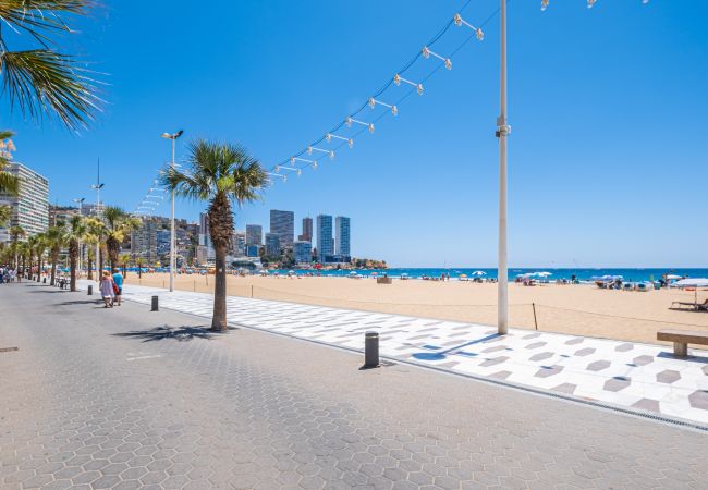 Apartment in Benidorm -  Lidersol 11-D Apartment Levante Area Apartment in Benidorm -  Lidersol 11-D Apartment Levante Area
