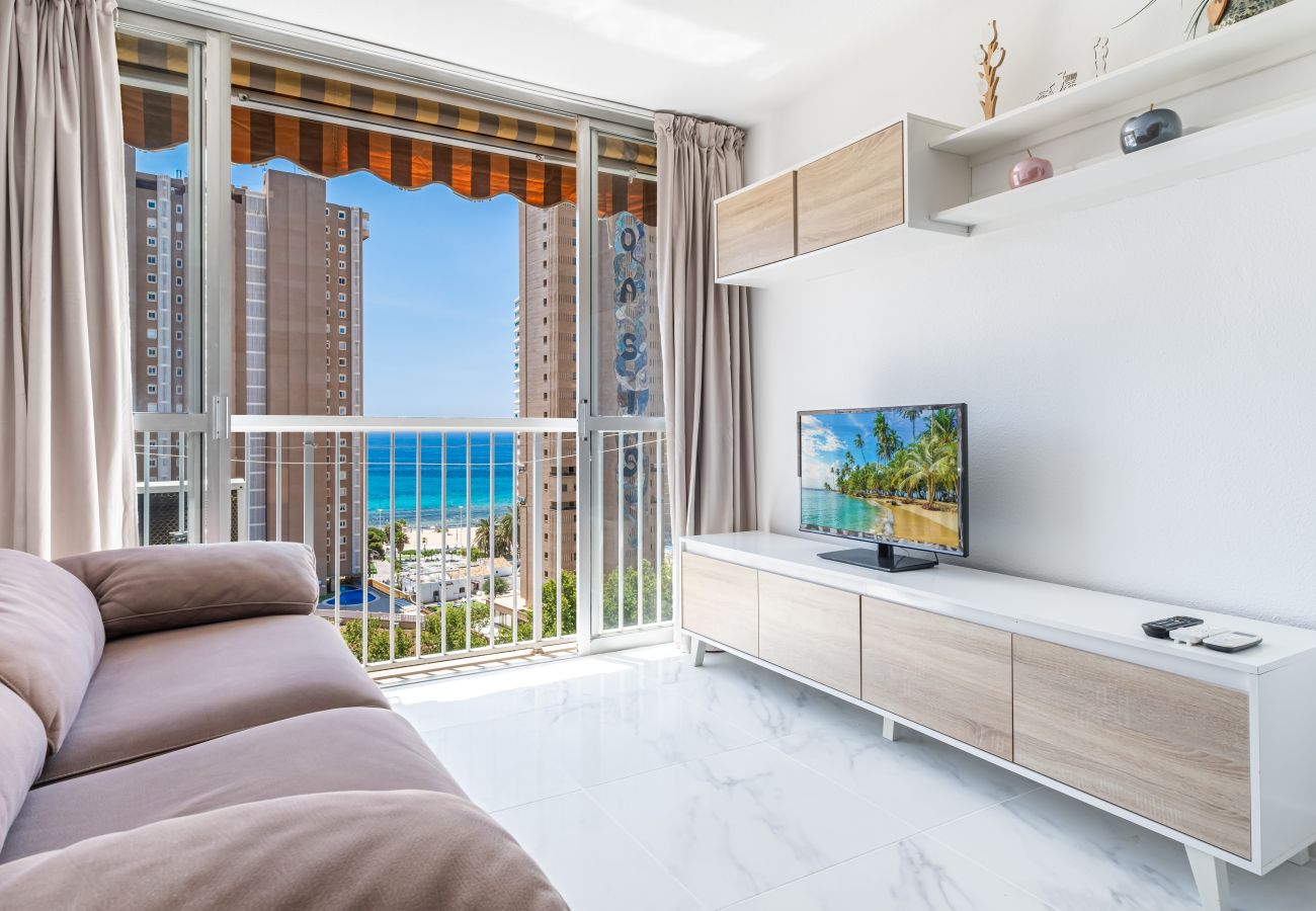 Studio in Benidorm - Albatros 12-8 Sea Views Levante Beach Studio in Benidorm - Albatros 12-8 Sea Views Levante Beach