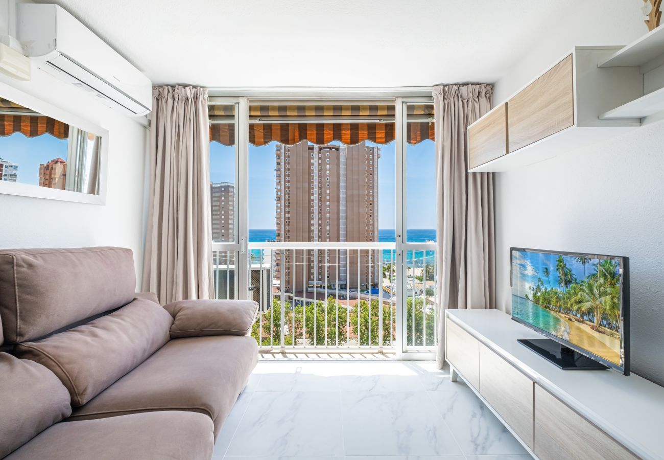 Studio in Benidorm - Albatros 12-8 Sea Views Levante Beach Studio in Benidorm - Albatros 12-8 Sea Views Levante Beach