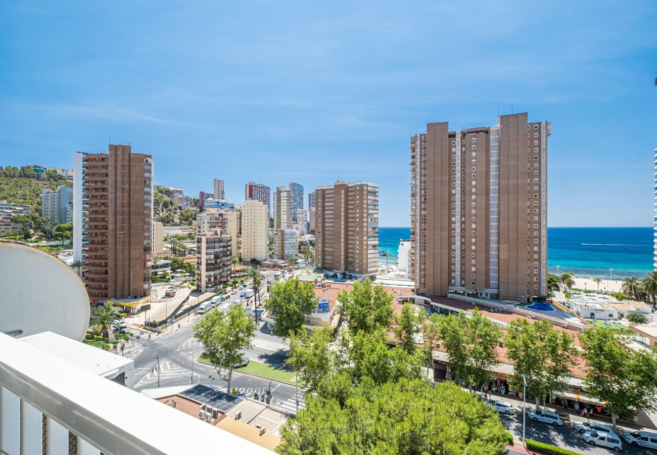 Studio in Benidorm - Albatros 12-8 Sea Views Levante Beach Studio in Benidorm - Albatros 12-8 Sea Views Levante Beach