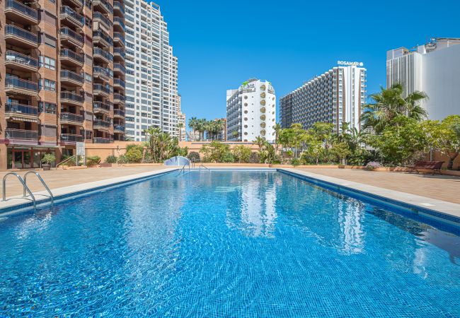 Apartment in Benidorm - Torre Mar 20-F Apartment Levante Beach Apartment in Benidorm - Torre Mar 20-F Apartment Levante Beach