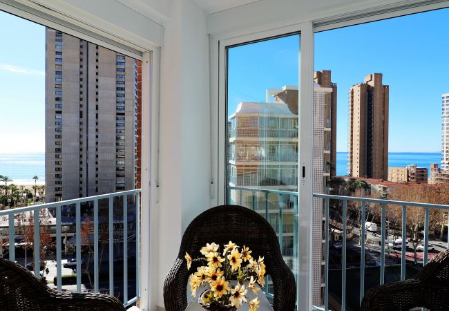 Apartment in Benidorm - Ocean II 9C Apartment in Benidorm - Ocean II 9C