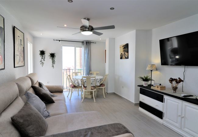 Apartment in Benidorm - Ocean II 9C Apartment in Benidorm - Ocean II 9C