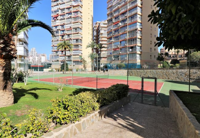 Apartment in Benidorm - Don Miguel 1 18-A Levante Beach Apartment Apartment in Benidorm - Don Miguel 1 18-A Levante Beach Apartment