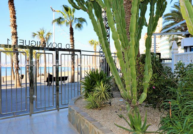 Apartment in Benidorm - Don Miguel 1 18-A Levante Beach Apartment Apartment in Benidorm - Don Miguel 1 18-A Levante Beach Apartment
