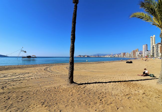 Apartment in Benidorm - Don Miguel 1 18-A Levante Beach Apartment Apartment in Benidorm - Don Miguel 1 18-A Levante Beach Apartment
