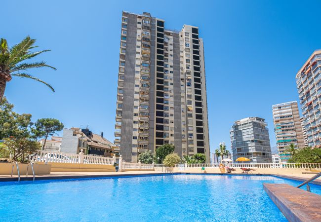 Apartment in Benidorm - Don Miguel 1 18-A Levante Beach Apartment Apartment in Benidorm - Don Miguel 1 18-A Levante Beach Apartment