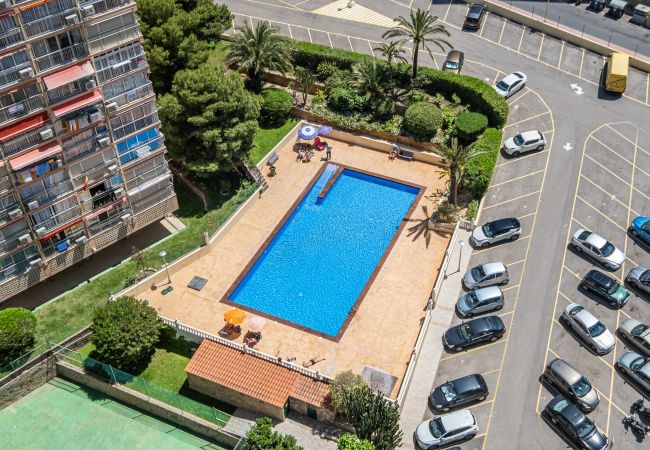 Apartment in Benidorm - Don Miguel 1 18-A Levante Beach Apartment Apartment in Benidorm - Don Miguel 1 18-A Levante Beach Apartment