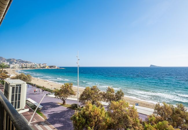 Apartment in Benidorm - Benibeach 3-2-B Apartment Poniente Beach Apartment in Benidorm - Benibeach 3-2-B Apartment Poniente Beach
