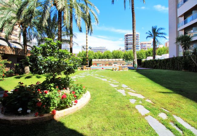 Apartment in Benidorm - Principado Arena 9-C Levante Beach Apartment in Benidorm - Principado Arena 9-C Levante Beach