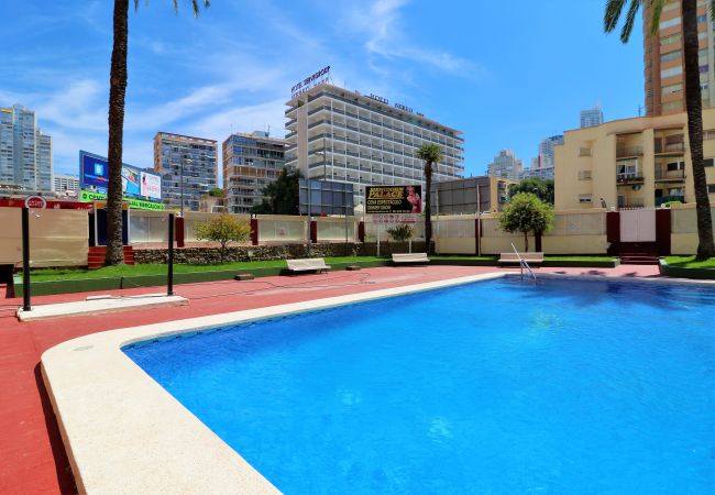 Apartment in Benidorm - Playmon Virginia 6-3 Apartment in Benidorm - Playmon Virginia 6-3