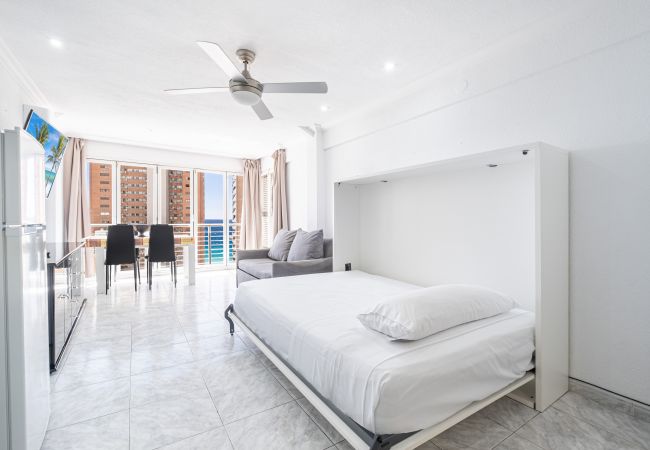 Studio in Benidorm -  Los Caballos 12-C Levante Beach Studio in Benidorm -  Los Caballos 12-C Levante Beach