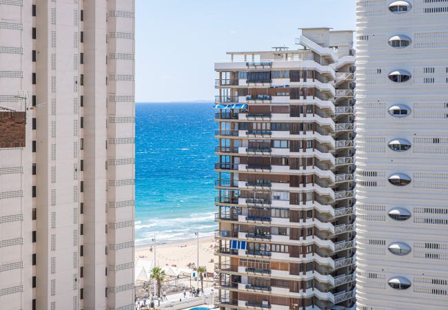 Studio in Benidorm -  Los Caballos 12-C Levante Beach Studio in Benidorm -  Los Caballos 12-C Levante Beach