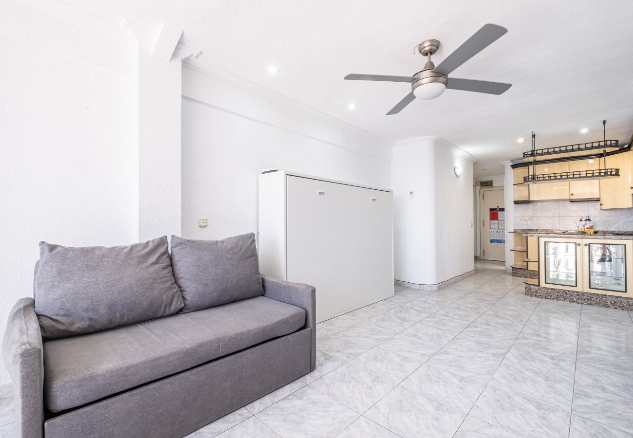 Studio in Benidorm -  Los Caballos 12-C Levante Beach Studio in Benidorm -  Los Caballos 12-C Levante Beach