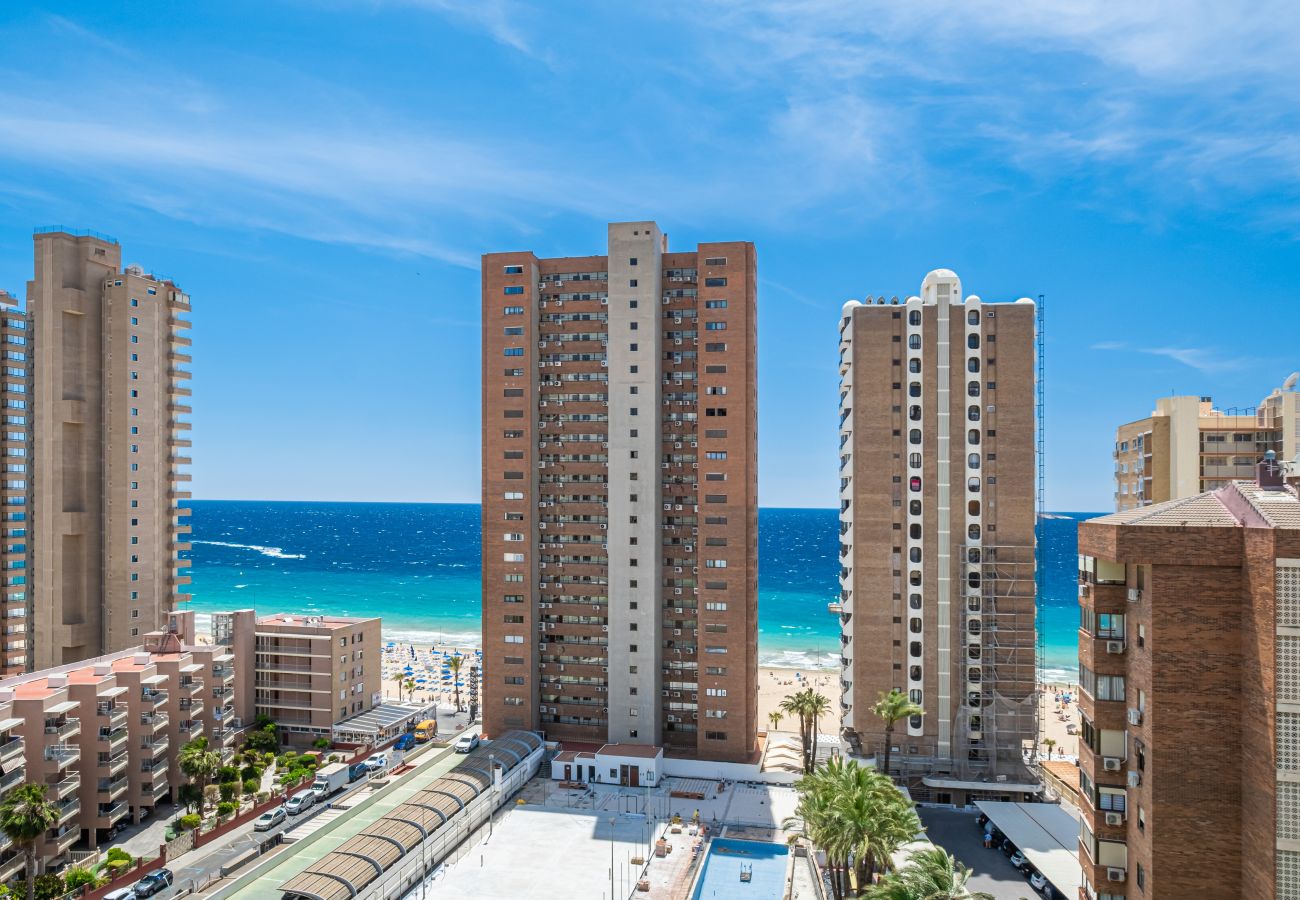 Studio in Benidorm -  Los Caballos 12-C Levante Beach Studio in Benidorm -  Los Caballos 12-C Levante Beach