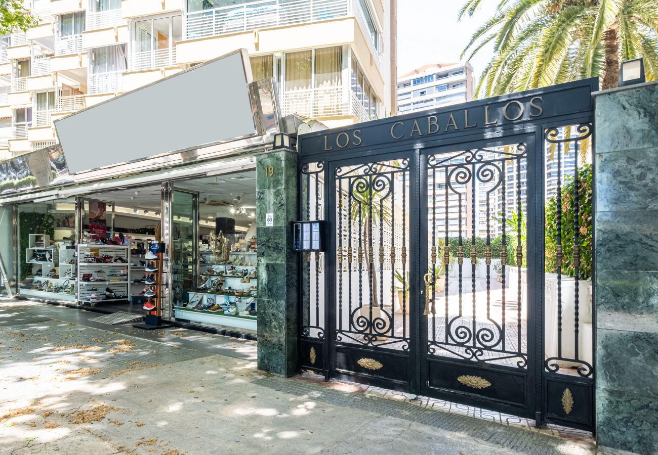 Studio in Benidorm -  Los Caballos 12-C Levante Beach Studio in Benidorm -  Los Caballos 12-C Levante Beach