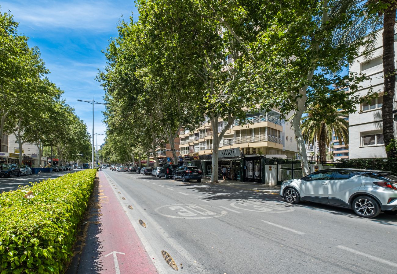 Studio in Benidorm -  Los Caballos 12-C Levante Beach Studio in Benidorm -  Los Caballos 12-C Levante Beach