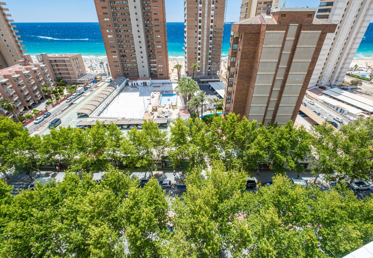 Studio in Benidorm -  Los Caballos 12-C Levante Beach Studio in Benidorm -  Los Caballos 12-C Levante Beach