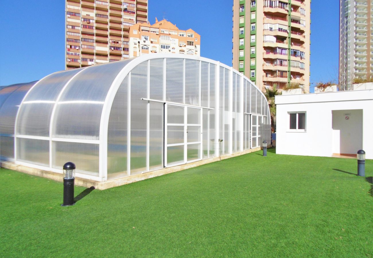 Apartment in Benidorm -  Gemelos 26 23-E Resort Apartment Levante Beach Apartment in Benidorm -  Gemelos 26 23-E Resort Apartment Levante Beach