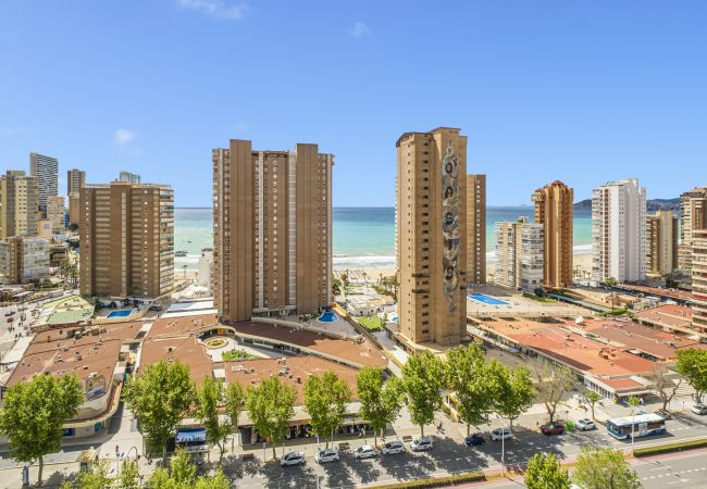  in Benidorm - Albatros 18-8