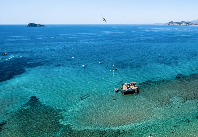 Apartment in Benidorm -  Don Miguel 1 10-B Apartment Levante Beach Apartment in Benidorm -  Don Miguel 1 10-B Apartment Levante Beach