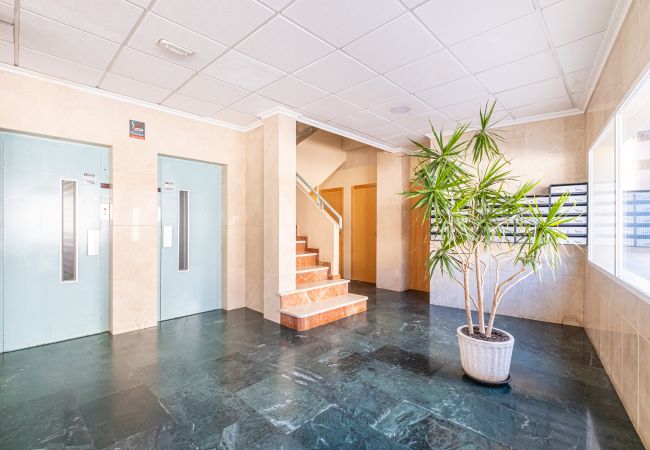 Apartment in Benidorm -  Niza 12-A Apartment Levante Beach Apartment in Benidorm -  Niza 12-A Apartment Levante Beach