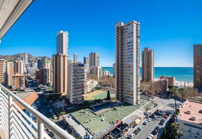 Apartment in Benidorm -  Niza 12-A Apartment Levante Beach Apartment in Benidorm -  Niza 12-A Apartment Levante Beach